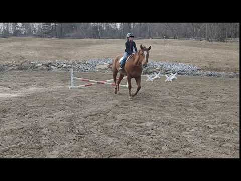 2019April- Ana and Leo x-rail