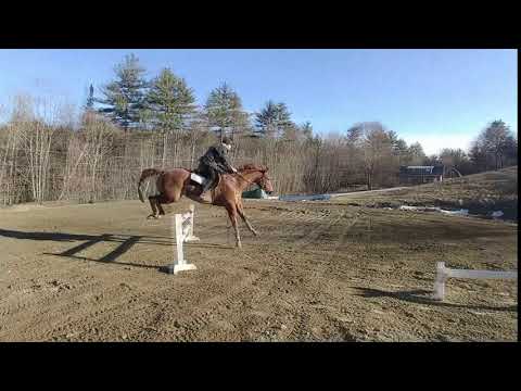 2019April- me and Leo vertical