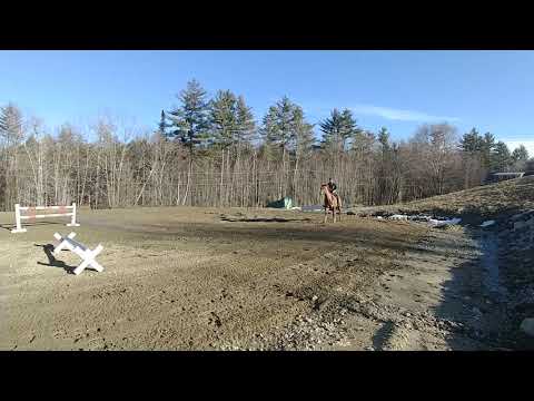 2019April- Me and Leo cantering cavalettis