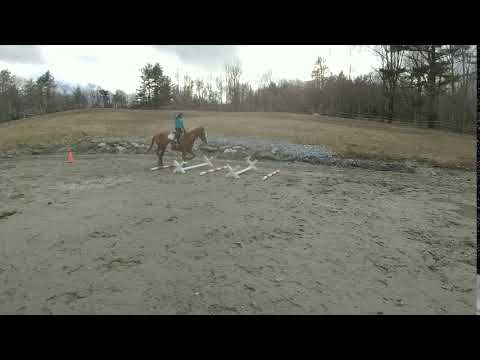 2019April- Ana and Skipper taking some cavalettis and poles